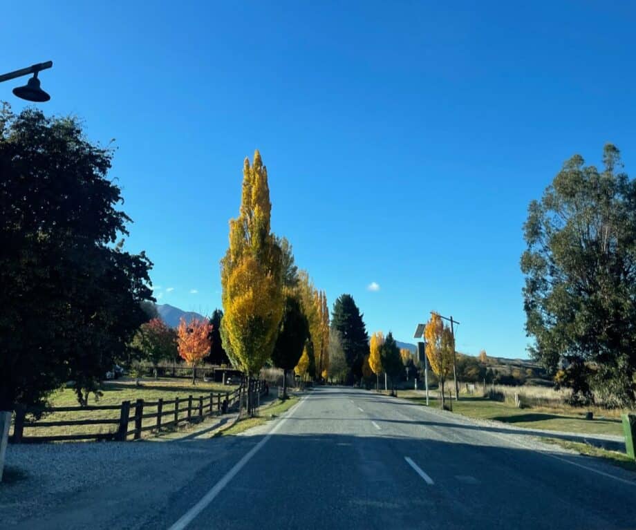 Driving the Crown Range in autumn