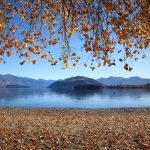 Lake Wanaka with golden autumn leaves falling from the trees
