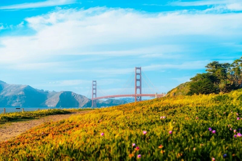 San Francisco in June