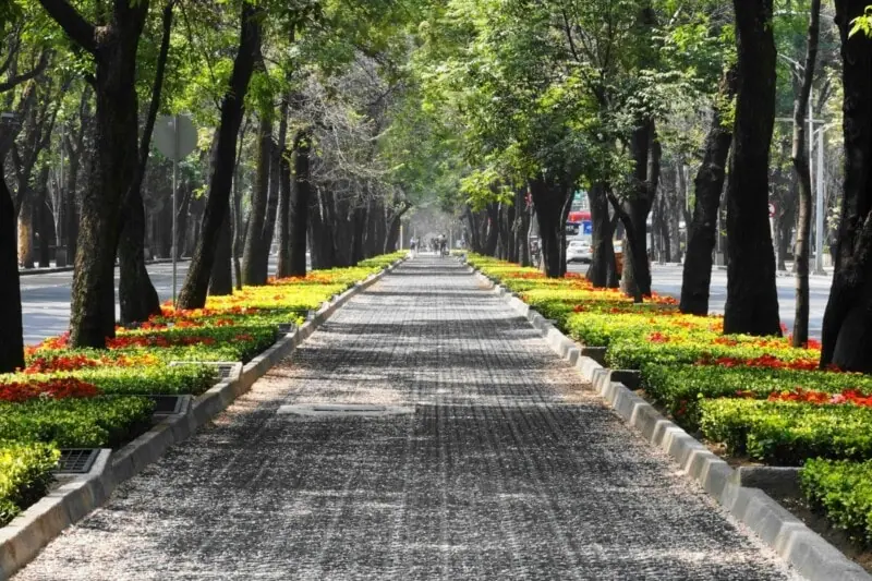 Mexico City in June